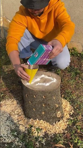 I Made a Tree Stump Disappear Using This Backyard Trick!