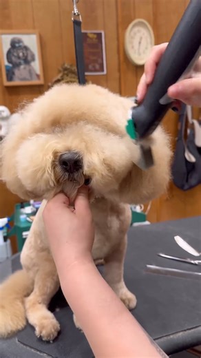 90K views · 493 reactions | I use a clip comb on heads if there’s a...