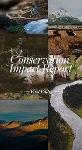 Conservation is our core. The first-edition of SITKA’s Conservation Impact Report featuring our national conservation partners, recipients of SITKA’s Ecosystem Grants, and the films and stories SITKA has made to support key conservation initiatives is now available. Head to the link to read it in full. | https://bit.ly/3A7yJqf | SITKA Gear