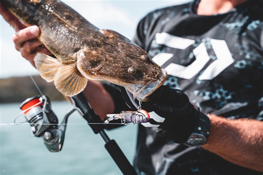 7.5K views · 90 reactions | If you're chasing prawn feeding species like Flathead, Mulloway and Snapper; The STEEZ SOFT SHELL 90 is a must-have prawn imitation lure in your tackle box! Check out the range! https://bit.ly/STEEZ-SOFT-SHELL-90 #FeelAlive #STEEZSOFTSHELL90 | Daiwa Australia | Facebook