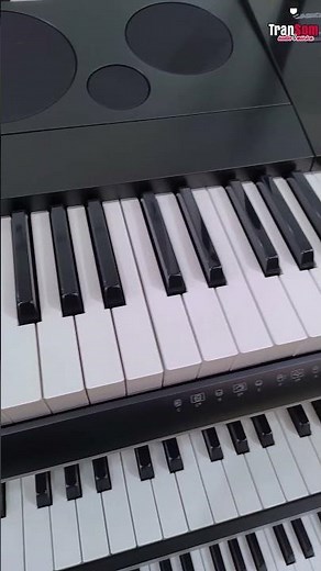 Teclado Casio WK-6600 | TranSom Áudio e Música