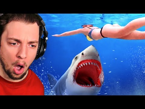 The Most UNEXPECTED Animal Encounters!