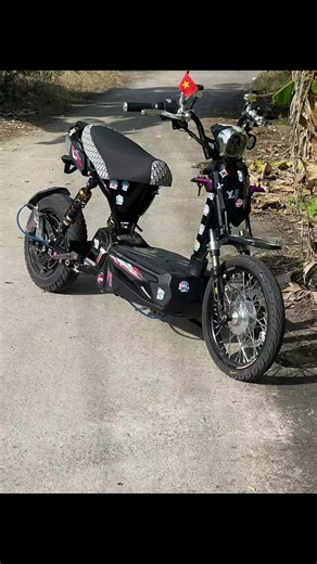 #xuhuongtiktok #133dokieng #xedienhaohung