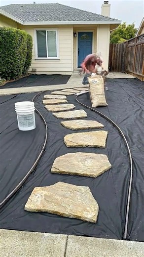 Front Yard Goes From Weeds to WOW ✨