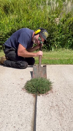 Roast away legends. #roast #satisfy #asmr #lawncare #tools #gardening #cleantok #nathanslawnsandgardens