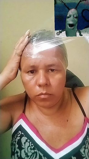 plankton meme | meme do plankton