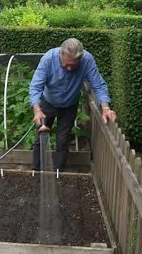 The Watering Trick That Helps Seeds Germinate Faster