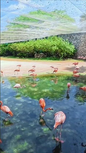 Amazing Xcaret Park, Mexico
