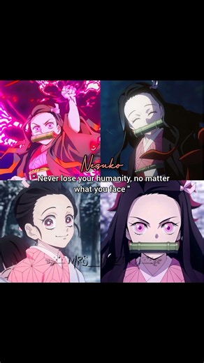 what does kny characters teach uss #tanjiro #nezuko #rengoku #shinobu #muichiro #mitsuri