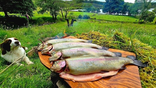 Secrets of wild cuisine catch trout with hands and cook in the wilderness