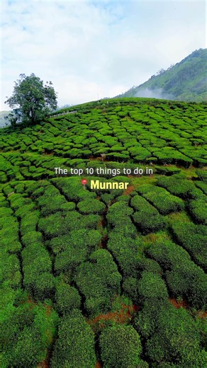 Top 10 Things to Do in Munnar, Kerala 🇮🇳