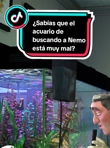 ¿Sabías que el acuario de buscando a Nemo está muy mal? #buscandoanemo #Disney #oceanlife #relajación #fyp