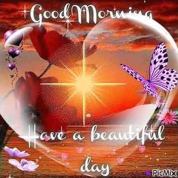 Good morning gif