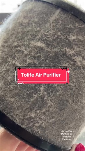 ToLife Air Purifier #airpurifier #airpurifiers #cleanair #tiktokmademebuyit
