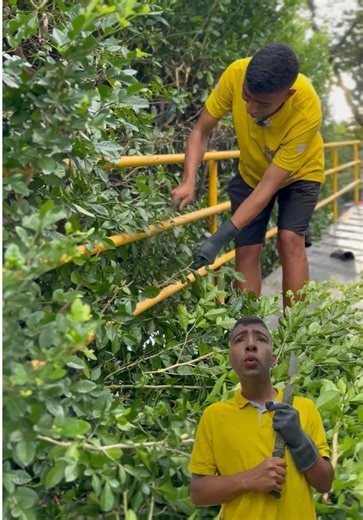 Soluciones a los Tapa Huecos en Ibagué y Bucaramanga