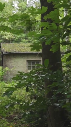 Support the M47 fundraiser and see your name on the turret at TANKFEST 2025! 🎁This would make a unique gift for yourself or the tank fan in your life! 🔍️Find out more: https://tankmuseum.org/support-us/m47-fundraiser | The Tank Museum