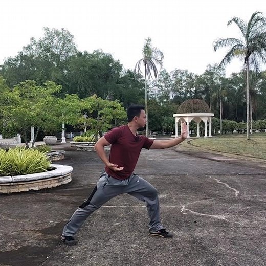 Basic to Advance Shaolin Kung Fu Movements