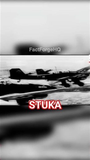 "The Plane That Screamed From The Sky 😱