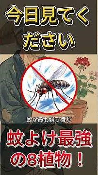 蚊が消える！8つの虫よけ植物で夏の夜を快適に過ごす方法 #エコライフ #オーガニック #土作り