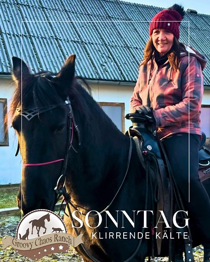 Reiten in klirrender Kälte ❄️😂 Luxus pur: Eiszapfen an den Wimpern, gefrorene Zehen, null Gefühl in den Fingern – und die Pferde finden’s super. Wir weniger. 😄🐴#GroovyChaosRanch #offenstall #pferdeliebe #horselover #winterhorse #NaturalHorsemanship #Horsemanship | Groovy Chaos Ranch