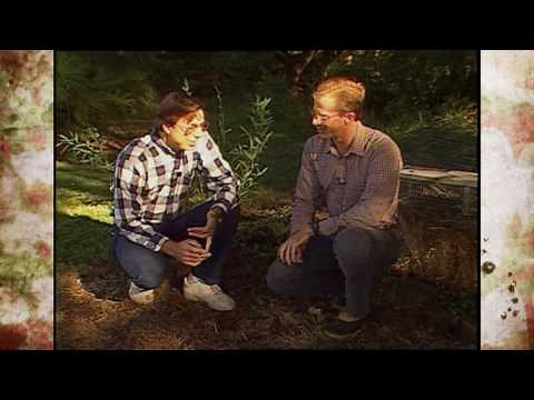 Controlling Armadillo Damage