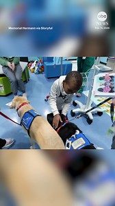 268K views · 1.9K reactions | Patients at Children's Memorial Hermann Hospital in Houston, Texas, were the recipients of dog-delivered Valentine's Day cards on Friday. https://abcnews.visitlink.me/PAzqFr | ABC News | Facebook