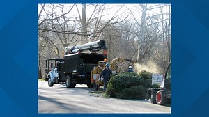 Lancaster County Central Park offers Christmas tree mulching to county residents