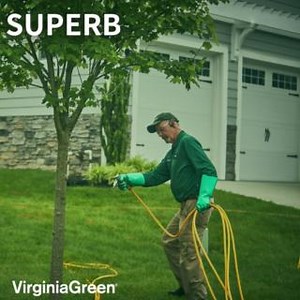 Take advantage of our tree and shrub fertilizer service for just $79! Act now, as this pricing only lasts until April 19th! Help your trees and shrubs grow stronger and healthier. 🏡 | Virginia Green