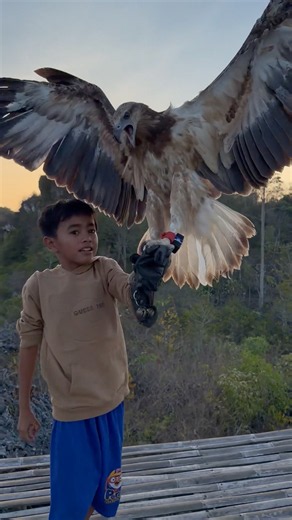 The landing of a big eagle that makes Tarzan boy happy #animals #nature #love