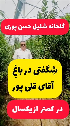 ‎مهندس محمد احمدی وشوایی(حکیم هکتار)‎ on Instagram‎: "🌟کیفیت کارِ ما ،اعتبارِ ماست🌟 #باغداری_اصولی #باغداری_مرکبات #باغداری_هلو_شلیل #باغداری_نوین_اقتصادی #باغداری_مرکبات_مازندران #باغداری_هلو_شلیل_مازندران#گللخانه_شلیل_حسن پوری#شلیل_حسن پوری#کاشت متراکم_شلیل_حسن پوری#حسنپوری 🌿☘️پیجی متفاوت و پر از آموزشهای رایگان و کاربردهای عالی برای کشاورزی و باغداری اگر از اکسپلور اومدی ؛حتما به پست های قبلی ما هم سر بزن... @mohandes_ahmadi1353 @mohandes_ahmadi1353 حتما از پست های قبلی دیدن کنید؛ما راه حل
