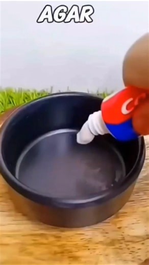 Amazing Science 😱🤔 Tricks#experiment#lifehacks#youtubeshorts#shorts #mrrahulhecker