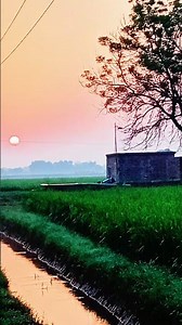 نعت سرکار naat sarkar #duet #alahazratkalambyowaisrazaqadri