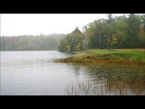 Prophet '08 Soft Strings