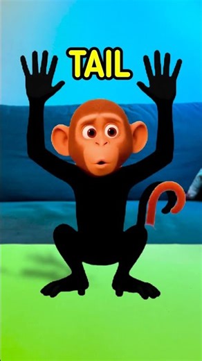 Monkey Body Parts! 🐵👀👂 Fun Kids Learning Video