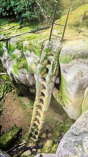 Fossilized Ladder in France: Nature's Stunning Transformation