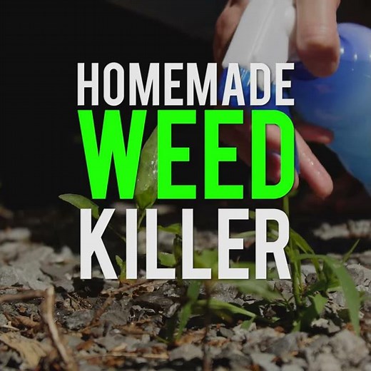 Homemade Weed Killer