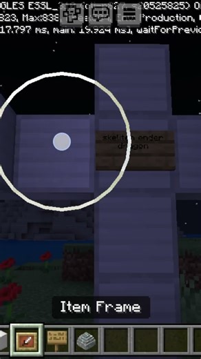 skeleton ender dragon 🦴🦴