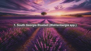 Unveiling the Botanical Wonders: Top 10 Native Flora of South Georgia and the South Sandwich Islands