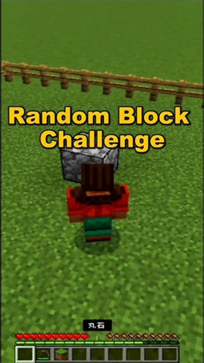 ​Minecraft Random Block Challenge: From Diamonds to DISASTER!