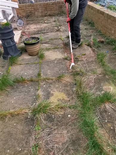 Satisfying Patio Clean Up Transformation