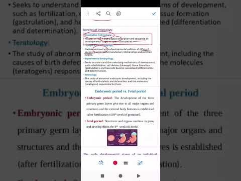 Embryology ✨♥️ الجزء الأول