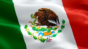 Mexico Flag Video Waving Wind Realistic Mexican Flag Background Mexicanos