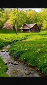 Beautiful house and garden designs. | Interesting Design