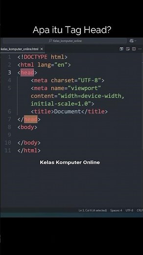 What Is the Head Tag in HTML? Its Important Function