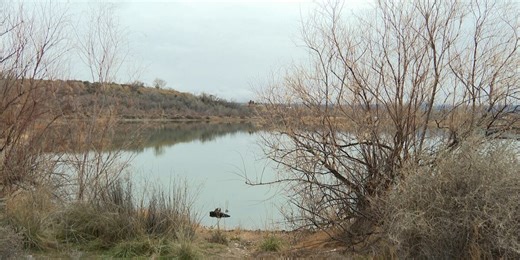 Clifton Nature Park, Riverfront Trail to close for invasive tree removal