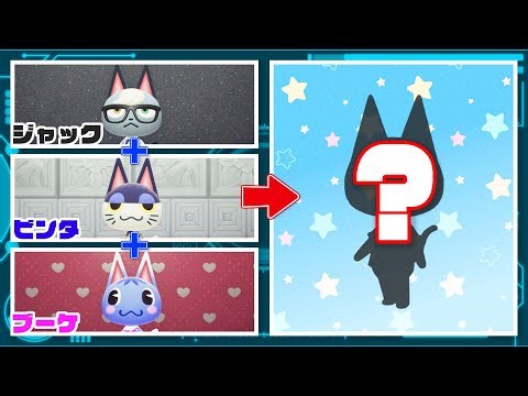 【あつ森】ねこの日スペシャル！もしもジャックとビンタとブーケが合体したら…？？【あつまれどうぶつの森】