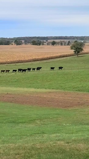 Love these jobs around the fields | Wades Tree Service | Facebook