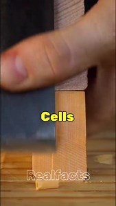 759K views · 5.1K reactions | Facts that will şçąřẽ you | Real Facts | Facebook