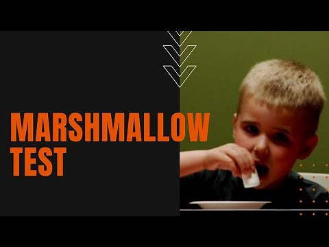 The Marshmallow Test