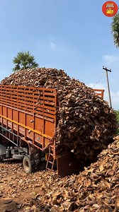 605K views · 10K reactions | Coir Rope Manufacturing Process From Coconut Husk #coir #rope #CoirRopeMaking | South Indian Food | Facebook